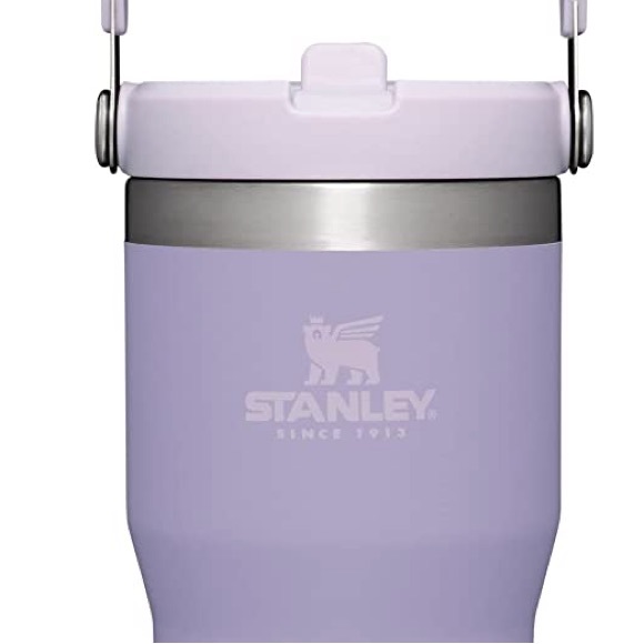 New 20oz Stanley IceFlow Stainless Steel Tumbler with Straw - Lavender NWT - Picture 2 of 6
